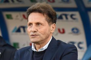 诺维利诺：帕拉蒂奇就像“小马洛塔”，他是米兰总监的合适人选